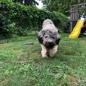 Meet your Posher, Laur